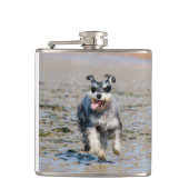 Mini-Schnauzer Flachmann (Vorderseite)