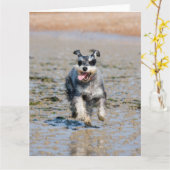 Mini-Schnauzer Karte (Gelbe Blume)