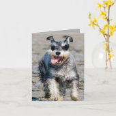 Mini-Schnauzer Karte (Gelbe Blume)