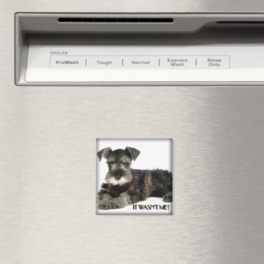 Mini Schnauzer Magnet (In Situ (Geschirrspüler))