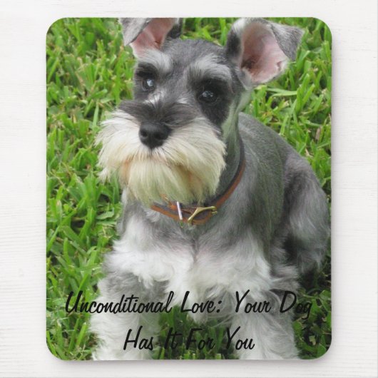 Mini-Schnauzer-Modepolster Mousepad (Vorne)