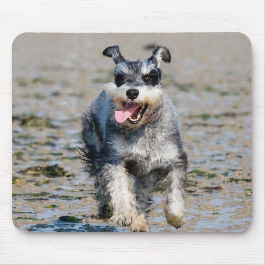 Mini-Schnauzer Mousepad (Vorne)