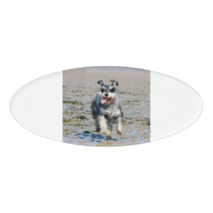 Mini-Schnauzer Namenschild