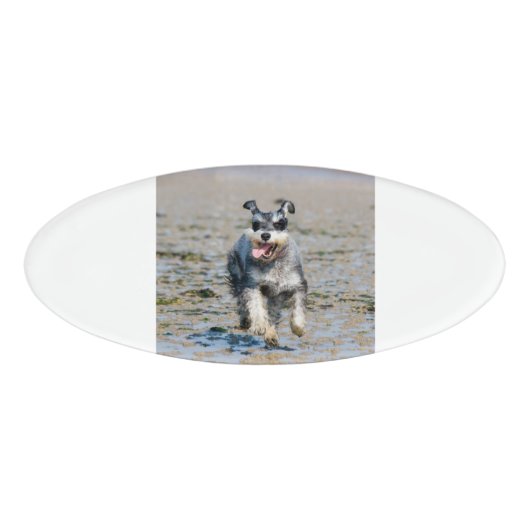 Mini-Schnauzer Namenschild (Vorderseite)