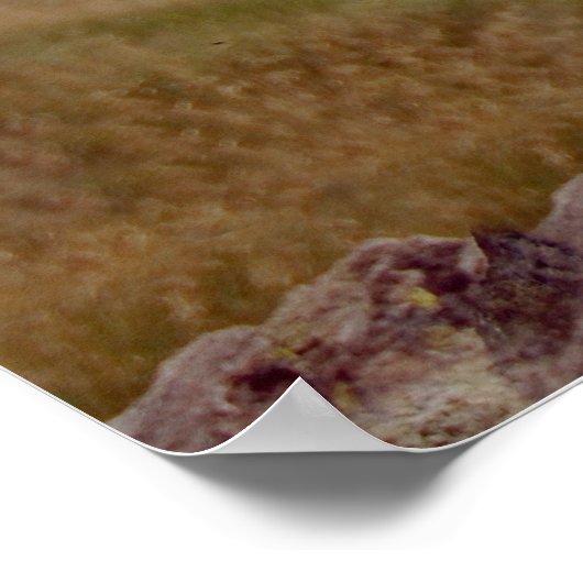 Mini Schnauzer Poster (Ecke)