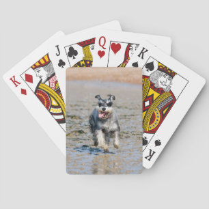 Mini-Schnauzer Spielkarten