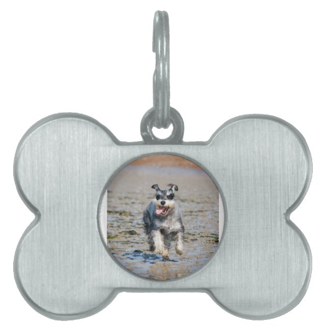 Mini-Schnauzer Tiermarke (Vorderseite)