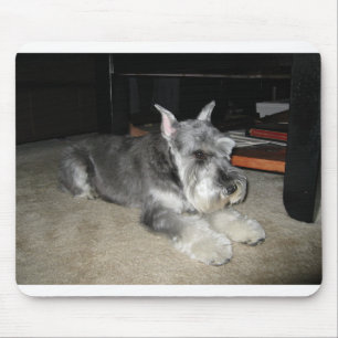 Mini_Schnauzer Verlegen Mousepad