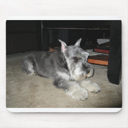 Mini_Schnauzer Verlegen Mousepad (Vorne)