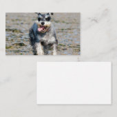 Mini-Schnauzer Visitenkarte (Vorne/Hinten)