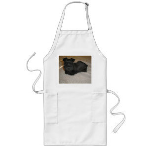 Mini-Schnauzer-Welpe Lange Schürze