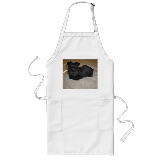 Mini-Schnauzer-Welpe Lange Schürze (Vorne)