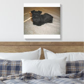 Mini-Schnauzer-Welpe Leinwanddruck (Insitu (Schlafzimmer))