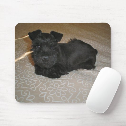 Mini-Schnauzer-Welpe Mousepad (Mit Mouse)