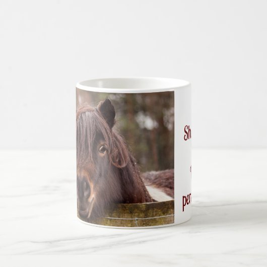 Mini Shetland, Tasse einer großen Persönlichkeit (Mittel)