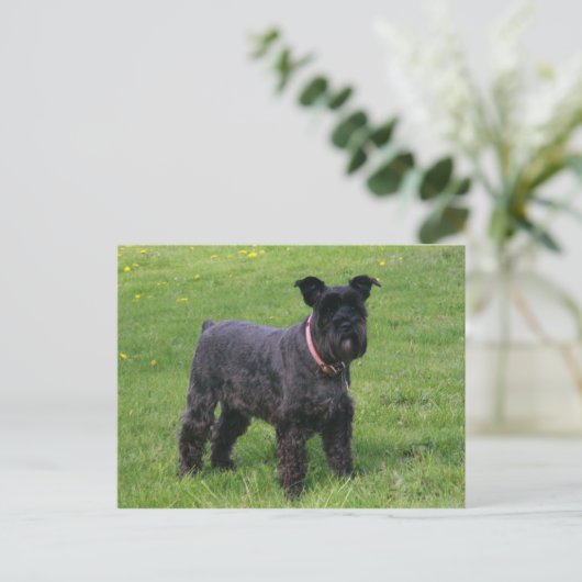 Mini-Shnaud-Vollversion Postkarte (Stehend Vorderseite)