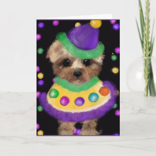 MINI YORKIE POO KARTE