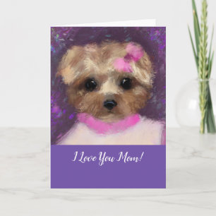 MINI YORKIE POO   KARTE