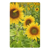 Mini-Zwischenablage "Sunflower" Mini Klemmbrett (Rückseite)