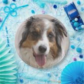 Miniatur American Shepherd Merle Pappteller (Party)
