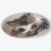 Miniatur American Shepherd Merle Pappteller (Schrägansicht)