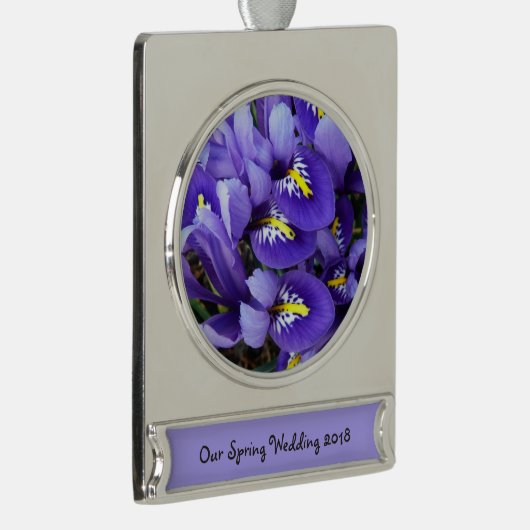 Miniatur Blue Irises Frühblut Banner-Ornament Silber (Rechts)
