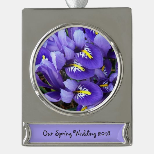 Miniatur Blue Irises Frühblut Banner-Ornament Silber (Vorderseite)