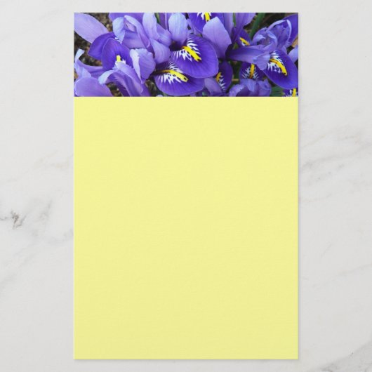 Miniatur Blue Irises Frühblut Briefpapier (Vorderseite)
