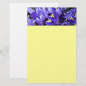 Miniatur Blue Irises Frühblut Briefpapier (Vorne/Hinten)
