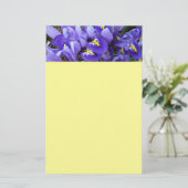 Miniatur Blue Irises Frühblut Briefpapier (Stehend Vorderseite)