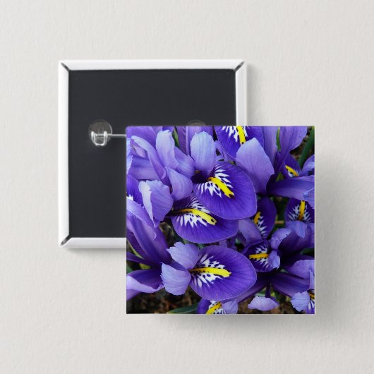 Miniatur Blue Irises Frühblut Button (Vorne & Hinten)