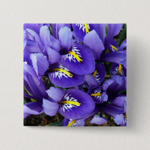 Miniatur Blue Irises Frühblut Button