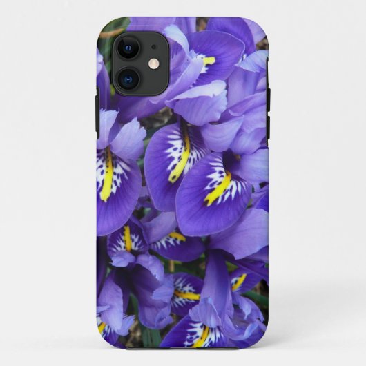 Miniatur Blue Irises Frühblut Case-Mate iPhone Hülle (Rückseite)