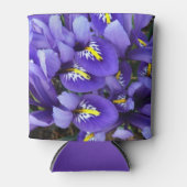 Miniatur Blue Irises Frühblut Dosenkühler (Vorderseite)