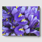 Miniatur Blue Irises Frühblut Gästebuch (Rückseite)