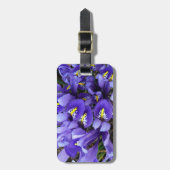 Miniatur Blue Irises Frühblut Gepäckanhänger (Vorderseite vertikal)