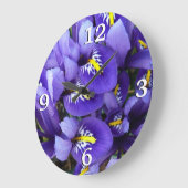 Miniatur Blue Irises Frühblut Große Wanduhr (Winkel)