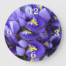 Miniatur Blue Irises Frühblut Große Wanduhr