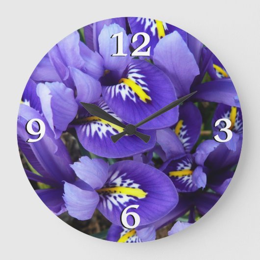 Miniatur Blue Irises Frühblut Große Wanduhr (Vorderseite)