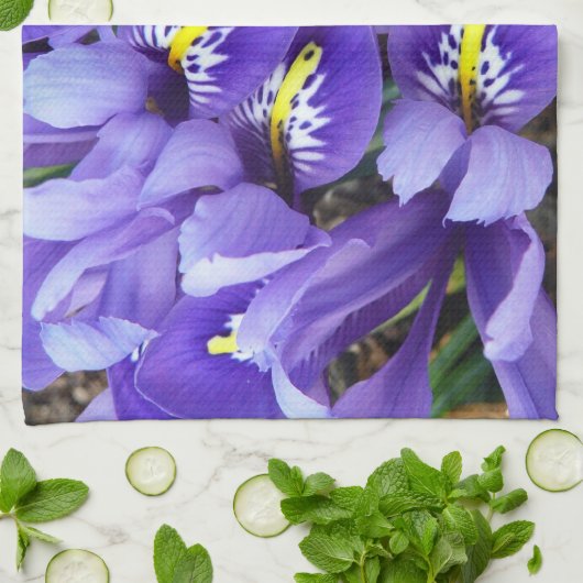 Miniatur Blue Irises Frühblut Handtuch (Gefaltet)