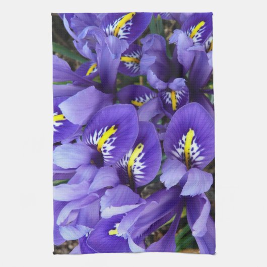 Miniatur Blue Irises Frühblut Handtuch (Vertikal)