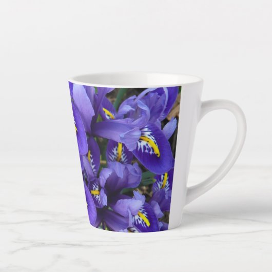 Miniatur Blue Irises Frühblut Milchtasse (Rechts)