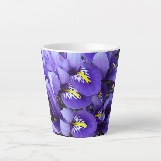 Miniatur Blue Irises Frühblut Milchtasse (Vorderseite)