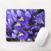 Miniatur Blue Irises Frühblut Mousepad (Mit Mouse)