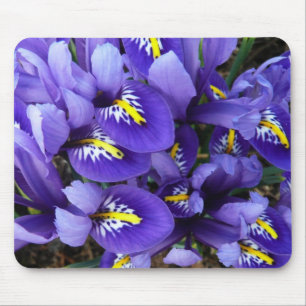 Miniatur Blue Irises Frühblut Mousepad