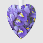 Miniatur Blue Irises Frühblut Ornament (Vorderseite)