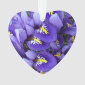 Miniatur Blue Irises Frühblut Ornament (Vorderseite)