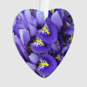 Miniatur Blue Irises Frühblut Ornament (Vorderseite)