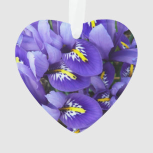 Miniatur Blue Irises Frühblut Ornament