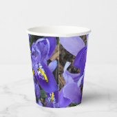 Miniatur Blue Irises Frühblut Pappbecher (Rechts)